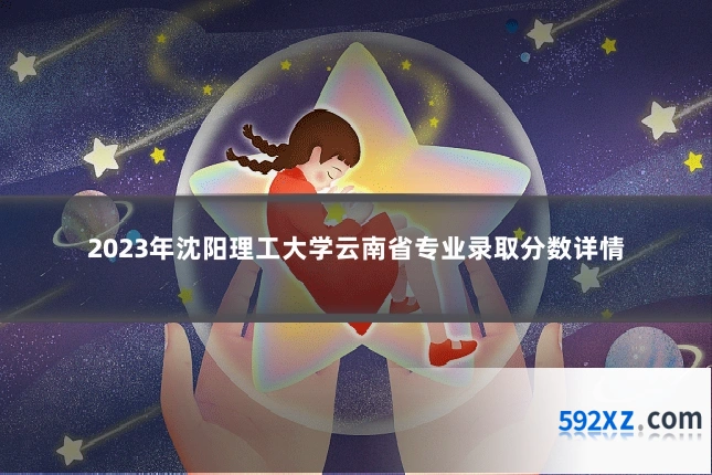 2023年沈阳理工大学云南省专业录取分数详情