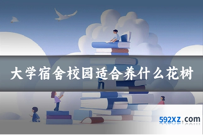 大学宿舍校园适合养什么花树