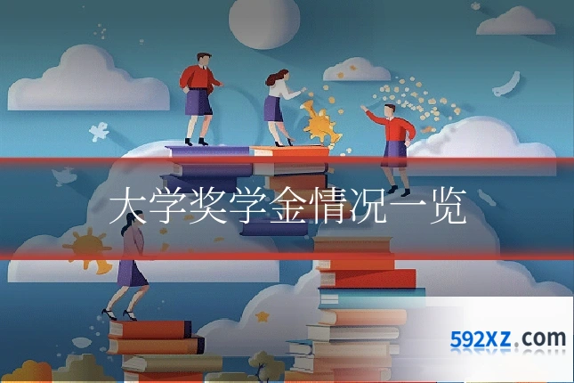 大学奖学金情况一览