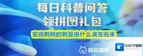 密斑刺鲀的刺是由什么演变而来