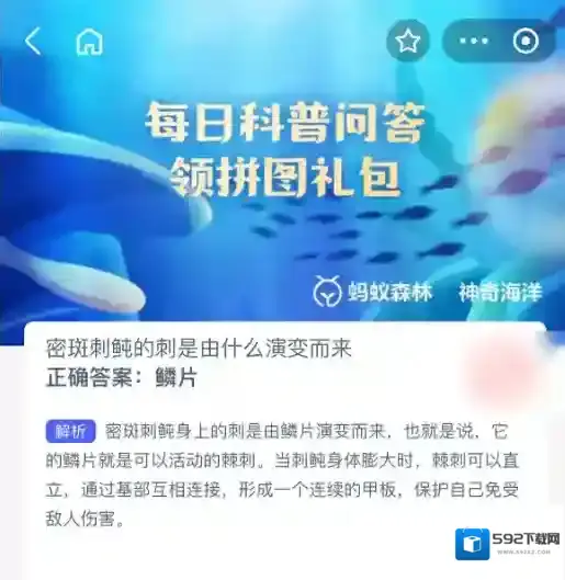 支付宝密斑刺鲀