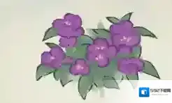 桃源深处有人家蓁蓁