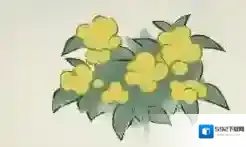 桃源深处有人家黄绿