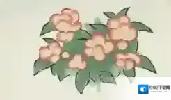 桃源深处有人家桃源乡