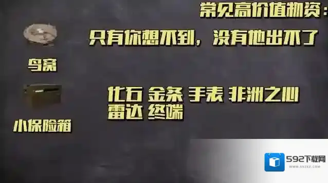 三角洲行动容器