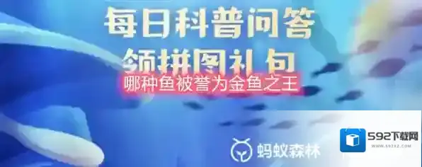 哪种鱼被誉为金鱼之王