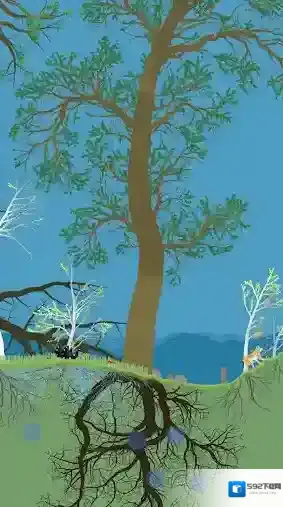 小松林生态系统