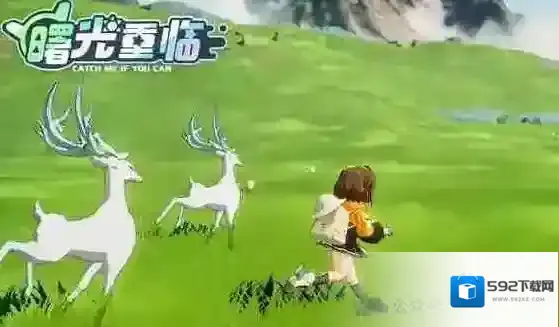 曙光重临宠物培养推荐攻略