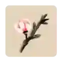 冬蜃楼冬蜃楼