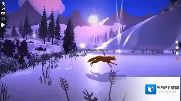 the first tree星星