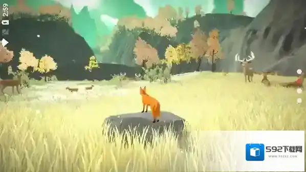 the first tree探索