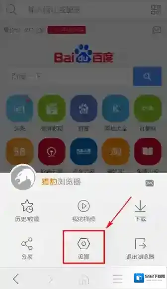 猎豹浏览器猎豹
