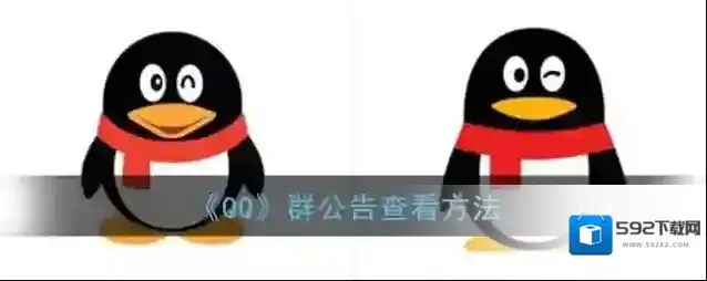 《QQ》群公告查看方法