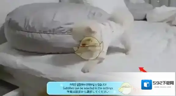 哔哩哔哩录制视频
