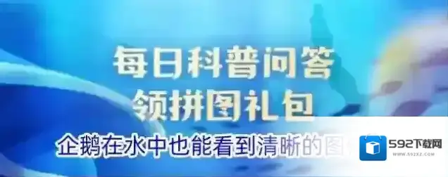 企鹅在水中也能看到清晰的图像吗