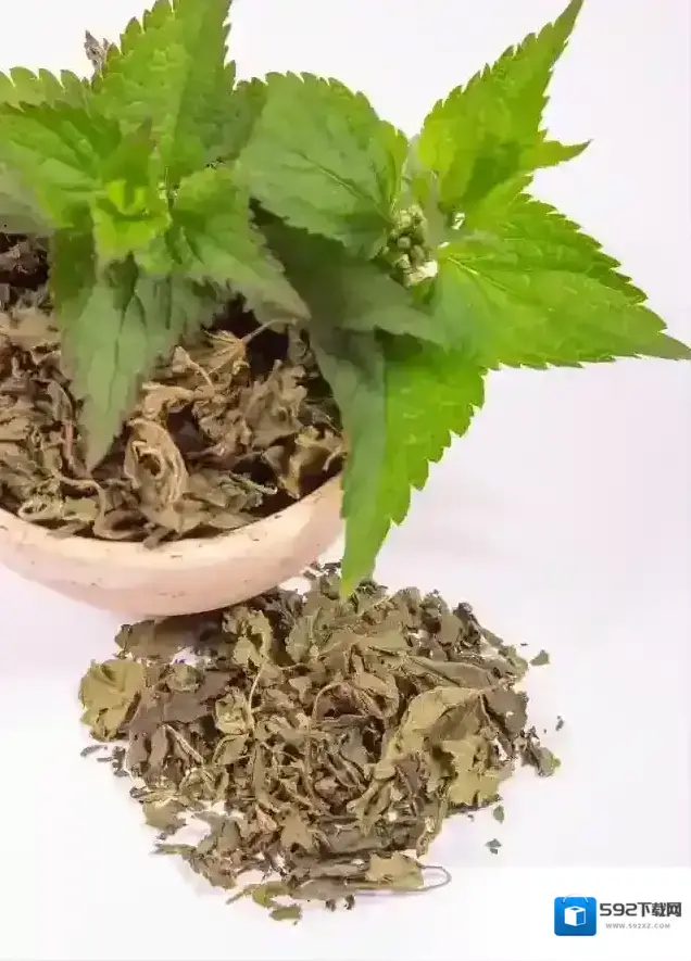 支付宝辛弃疾诗词